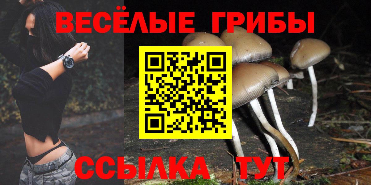 Галлюциногенные грибы ЛСД  купить наркотик  Добрянка  Вход с VPN 